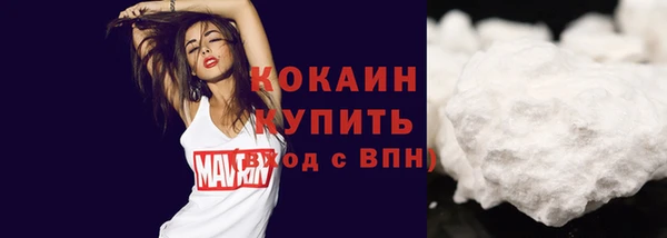 ГАЛЛЮЦИНОГЕННЫЕ ГРИБЫ Пестово