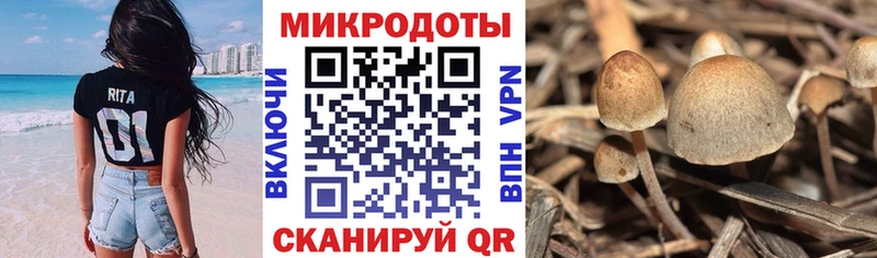 Галлюциногенные грибы ЛСД  Сурск 